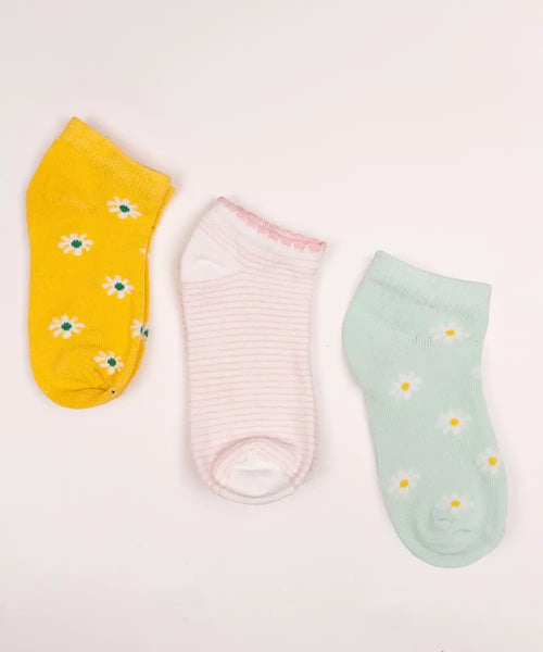 Fresh Daisy & Stripe Trio